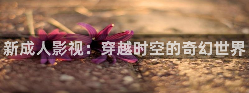 被窝午夜私人电影院