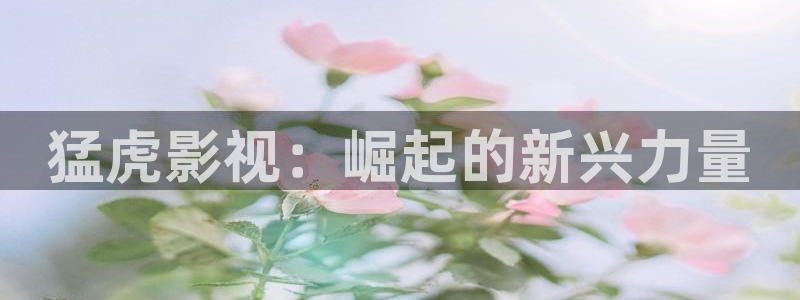 午夜被窝影院：猛虎影视：崛起的新兴力量