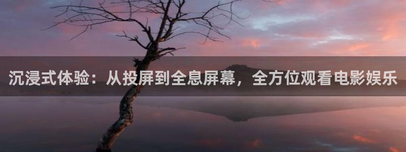 被窝说电影：沉浸式体验：从投屏到全息屏幕，全方位观看电影娱乐