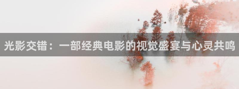 被窝电影免费：光影交错：一部经典电影的视觉盛宴与心灵共鸣